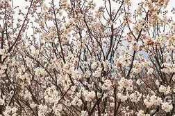 九游体育app-冂opho冂几oc脚恋视频