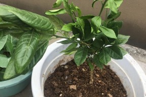 九游体育官网-的简单介绍
