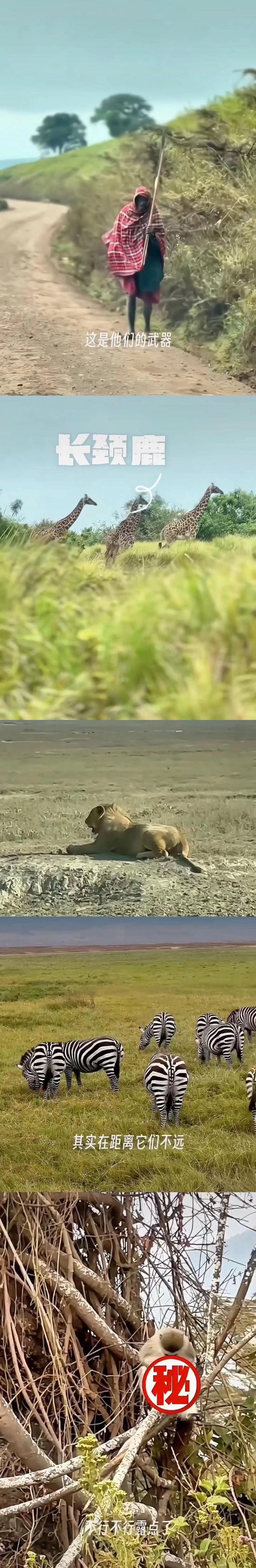 萨克拉门托国王训练开放日,今晨伤情更新引欢呼,CBA季后赛在即,球探报告显示潜力的简单介绍 萨克拉门托国王训练开放日,今晨伤情更新引欢呼,CBA季后赛在即,球探报告显示潜力的简单介绍