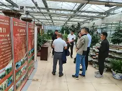 冂opho冂几oc脚恋视频